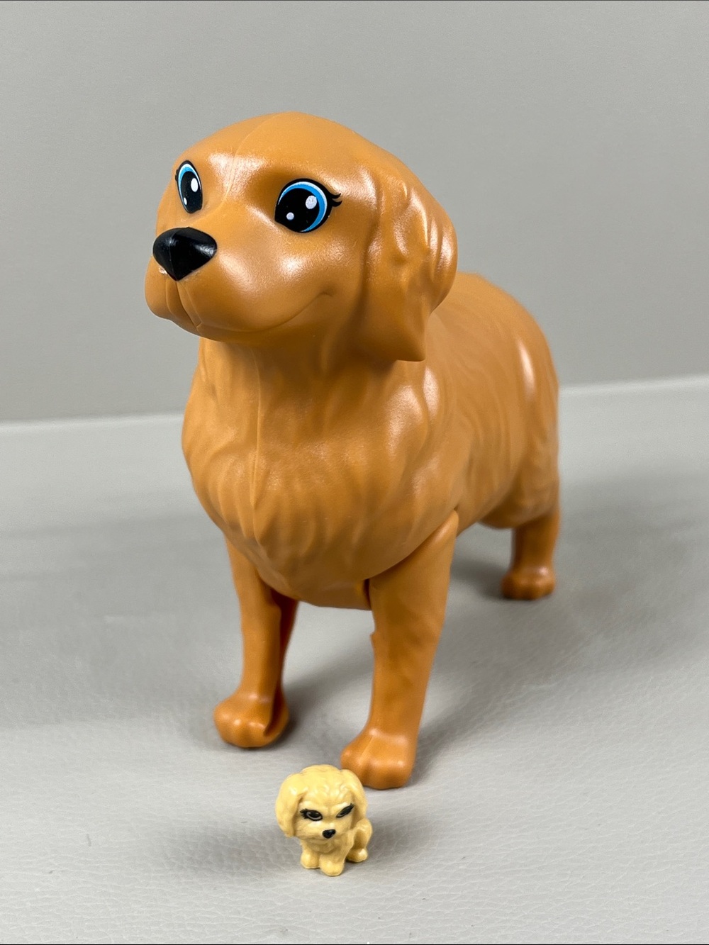 Barbie Dog pregnant with puppy